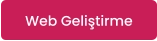 Web Geliştirme